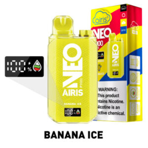 Airis Neo P9000 (9000 Puffs) - Image 2