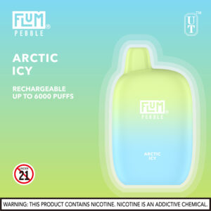 FLUM Pebble 6000 Puffs - Image 24