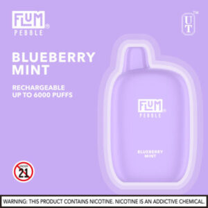 FLUM Pebble 6000 Puffs - Image 19