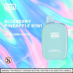 FLUM Pebble 6000 Puffs - Image 18
