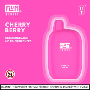 FLUM Pebble 6000 Puffs - Image 17