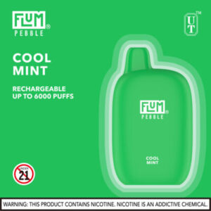 FLUM Pebble 6000 Puffs - Image 15