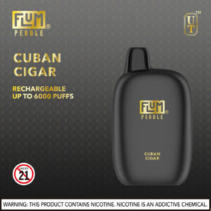 FLUM Pebble 6000 Puffs - Image 14