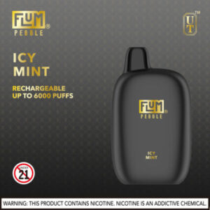 FLUM Pebble 6000 Puffs - Image 12