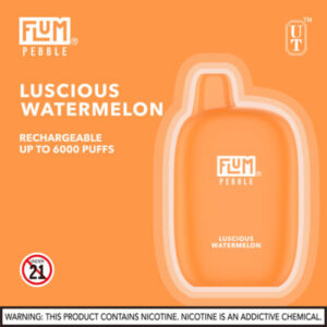 FLUM Pebble 6000 Puffs - Image 11