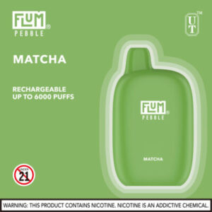 FLUM Pebble 6000 Puffs - Image 10