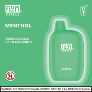 FLUM Pebble 6000 Puffs - Image 9