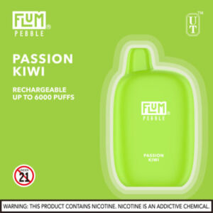 FLUM Pebble 6000 Puffs - Image 8