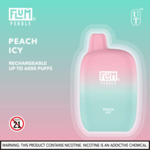 FLUM Pebble 6000 Puffs - Image 7