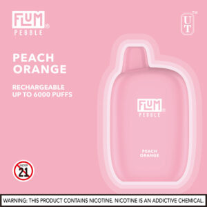 FLUM Pebble 6000 Puffs - Image 6