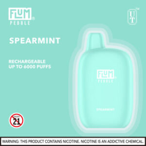 FLUM Pebble 6000 Puffs - Image 3