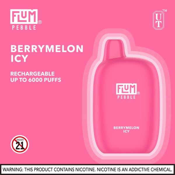 FLUM Pebble 6000 Puffs - Image 23