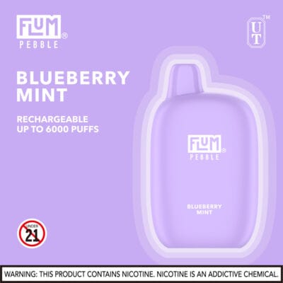 FLUM Pebble 6000 Puffs - Image 19