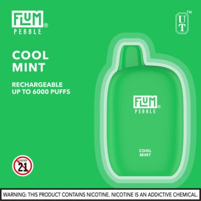 FLUM Pebble 6000 Puffs - Image 15
