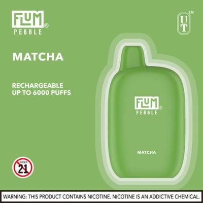 FLUM Pebble 6000 Puffs - Image 10