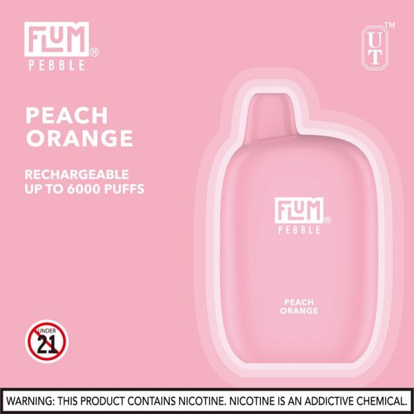 FLUM Pebble 6000 Puffs - Image 6